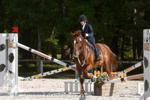 CFCC-2019-00524