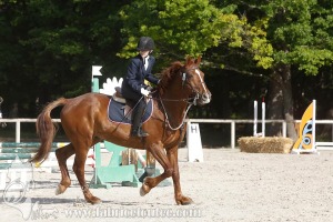 CFCC-2019-00528