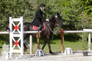 CFCC-2019-00532
