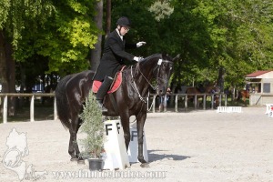 CFCC-2019-00534