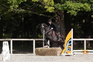CFCC-2019-00536