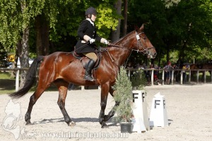CFCC-2019-00549
