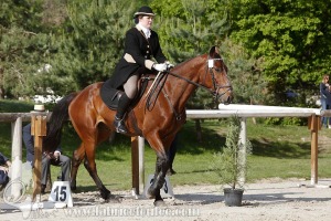 CFCC-2019-00565