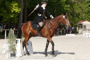CFCC-2019-00566