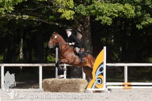 CFCC-2019-00568