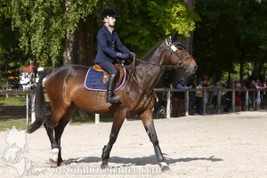 CFCC-2019-00578