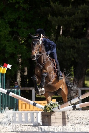 CFCC-2019-00583