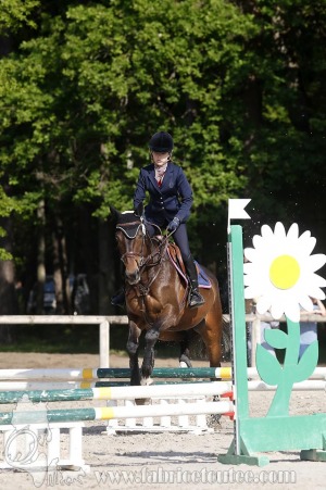 CFCC-2019-00585