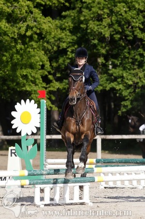 CFCC-2019-00586