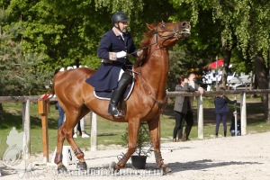 CFCC-2019-00590