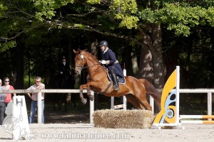 CFCC-2019-00593