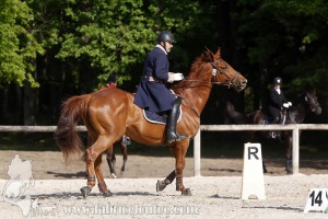 CFCC-2019-00594
