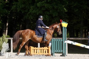CFCC-2019-00595
