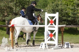 CFCC-2019-00604