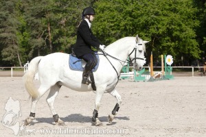CFCC-2019-00608