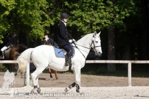 CFCC-2019-00610