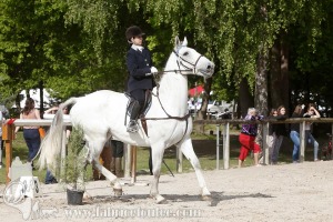 CFCC-2019-00619