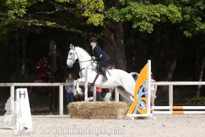 CFCC-2019-00622