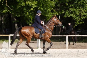 CFCC-2019-00634