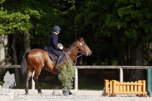 CFCC-2019-00635
