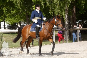CFCC-2019-00643