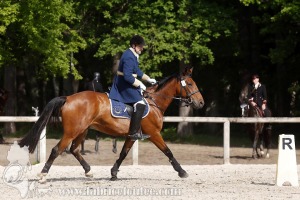 CFCC-2019-00646