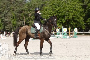 CFCC-2019-00660