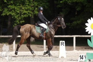 CFCC-2019-00662