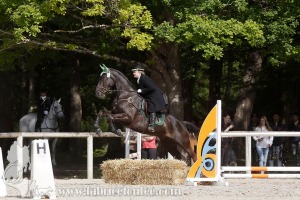 CFCC-2019-00672