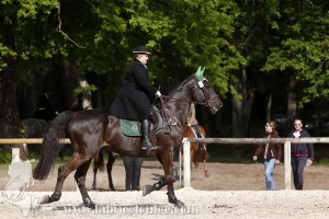 CFCC-2019-00673