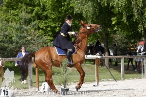 CFCC-2019-00684