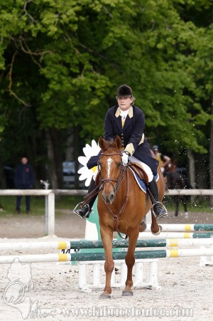CFCC-2019-00691