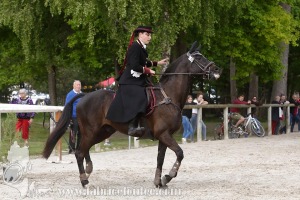 CFCC-2019-00695