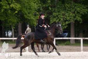 CFCC-2019-00697