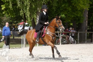 CFCC-2019-00705