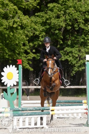 CFCC-2019-00713