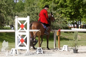 CFCC-2019-00718
