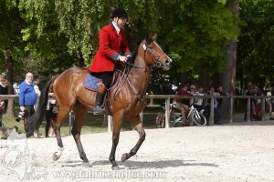 CFCC-2019-00719