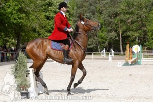 CFCC-2019-00720