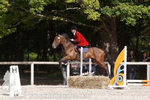 CFCC-2019-00721
