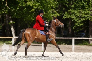 CFCC-2019-00722