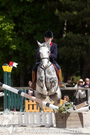 CFCC-2019-00736