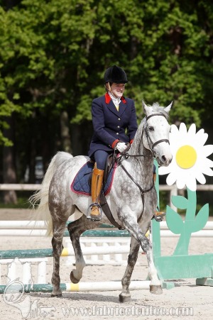 CFCC-2019-00742