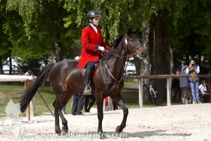 CFCC-2019-00758