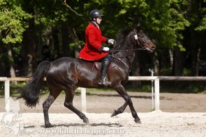 CFCC-2019-00760