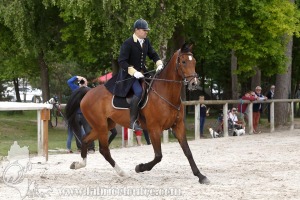CFCC-2019-00771