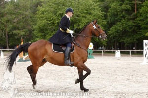 CFCC-2019-00772