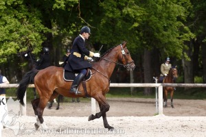 CFCC-2019-00774