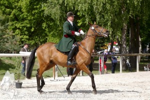 CFCC-2019-00784