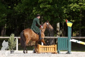 CFCC-2019-00786